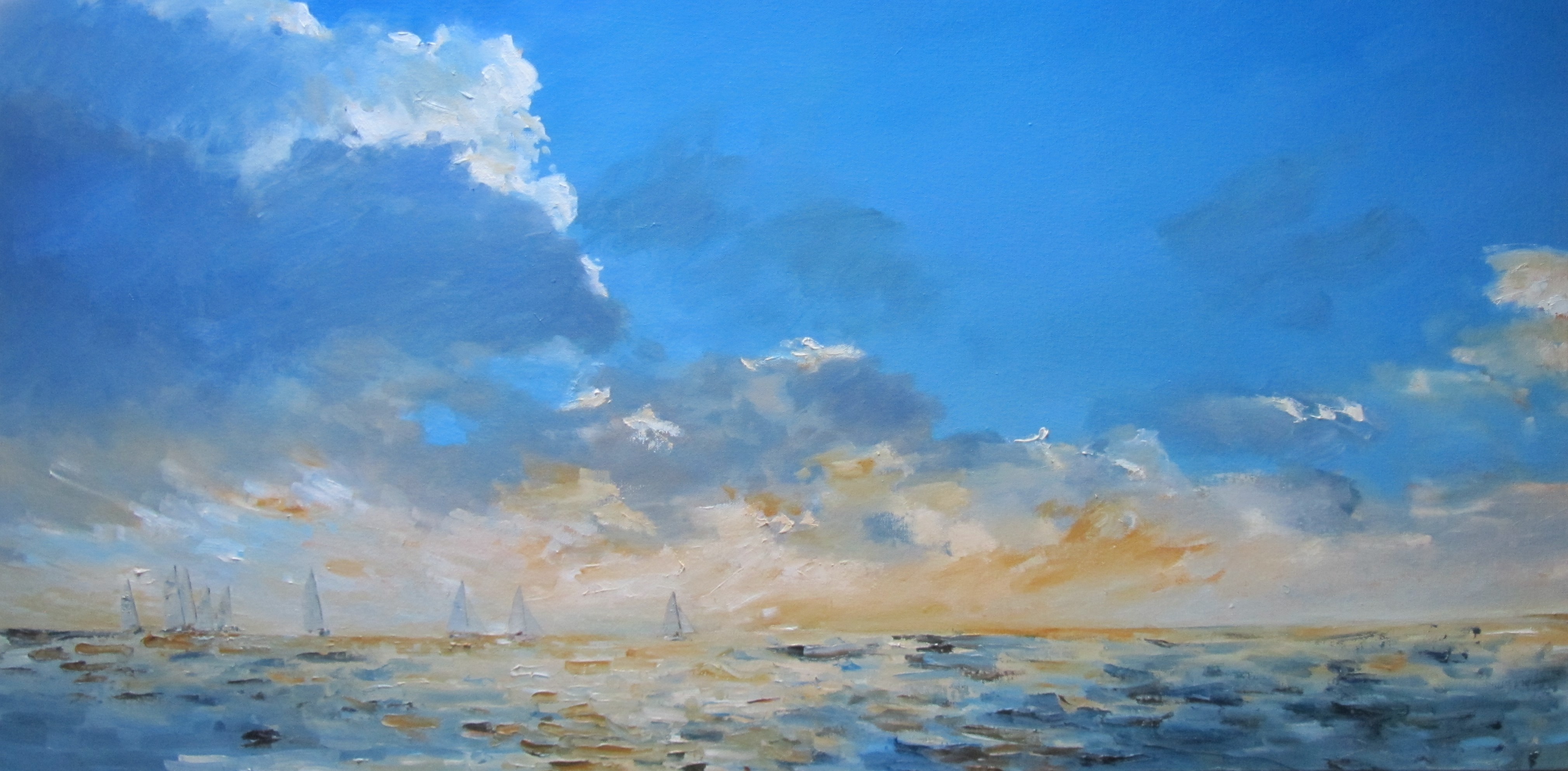 Fleet and setting sun - 50cm x 100cm